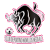 https://img.rakgu.com/img/football/team/97c3ef30cac48cadff97605e387feefa.png